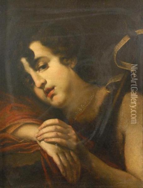 A Young John The Baptist Oil Painting - Francesco Furini