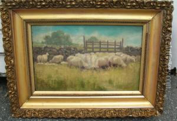 Sheep Grazing Oil Painting - Flora Thomas Mccaig