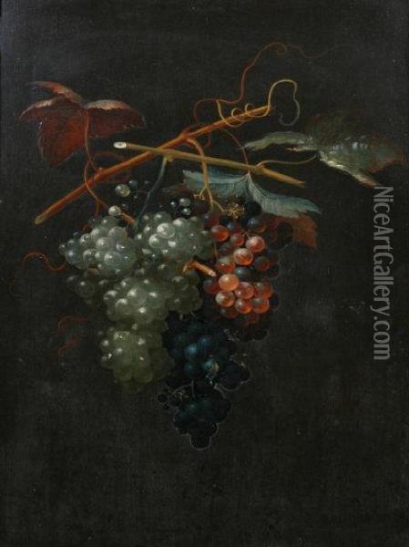 Grapes. Oil Painting - Thomas Keyse Gloucester