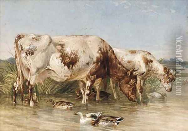 Cattle watering at a duck pond Oil Painting - English Provincial School