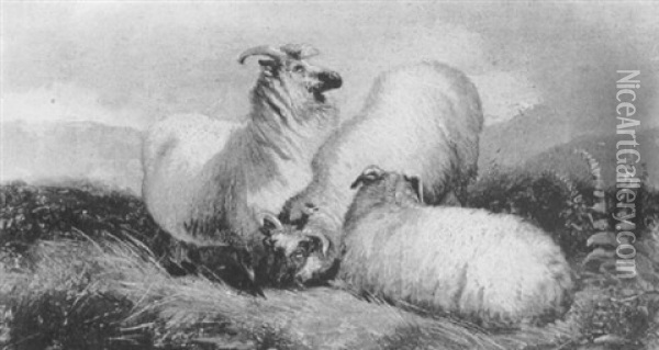 Scottish Blackface Sheep In Landscape Oil Painting - Richard Ansdell