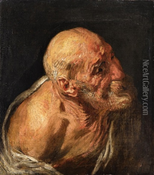 Study Of An Old Man Oil Painting - Jacob Jordaens