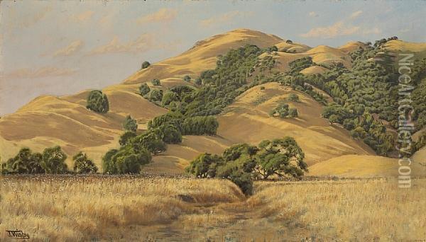 Marin Hills Oil Painting - Jack Wisby