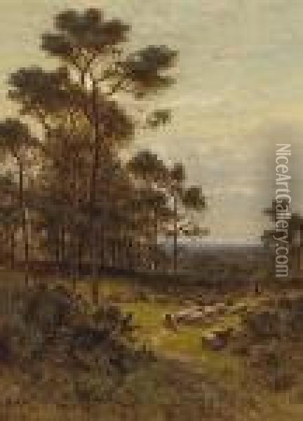 Surrey Pines Oil Painting - Alfred Augustus Glendening