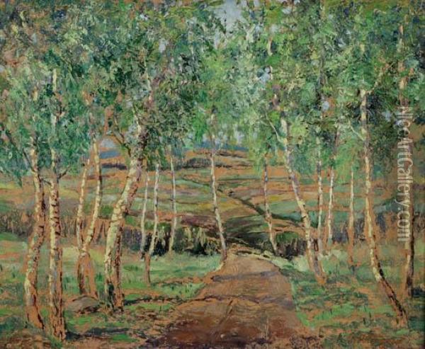 Path Through A Birch Grove Oil Painting - Jan Autengruber