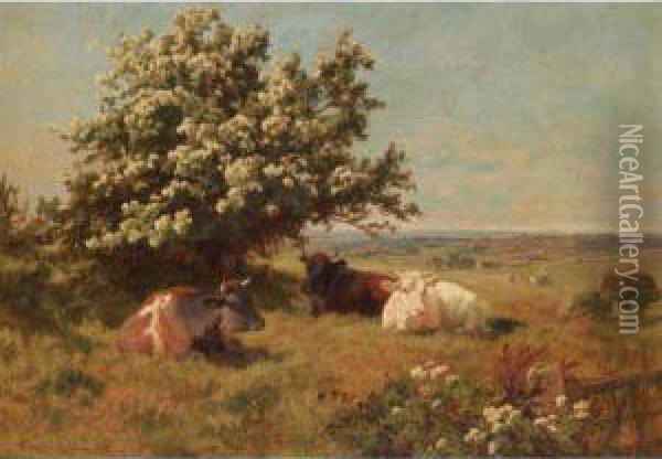 Cows In A Meadow Oil Painting - Charles Collins