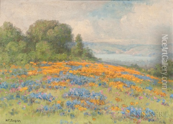 Field Of Poppies And Lupine With View To A Bay Oil Painting - William Franklin Jackson