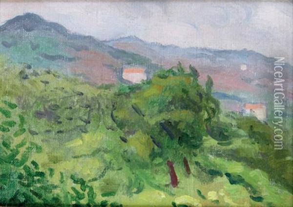 Paysage Pres De Ceret Oil Painting - Albert Marquet