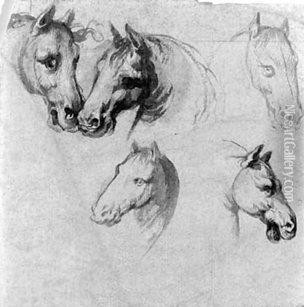 Studies of horses' heads Oil Painting - Belisario Corenzio