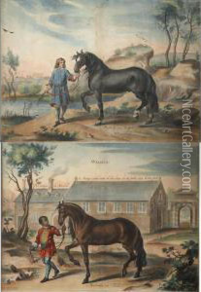 Horse Studies Oil Painting - Abraham Jansz. van Diepenbeeck