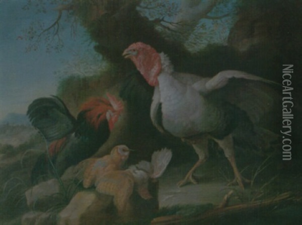 Still Life Of A Turkey, A Bantam, A Barn Owl And A Grey Partridge In A Rocky Landscape Oil Painting - Giorgio (Count) Durante