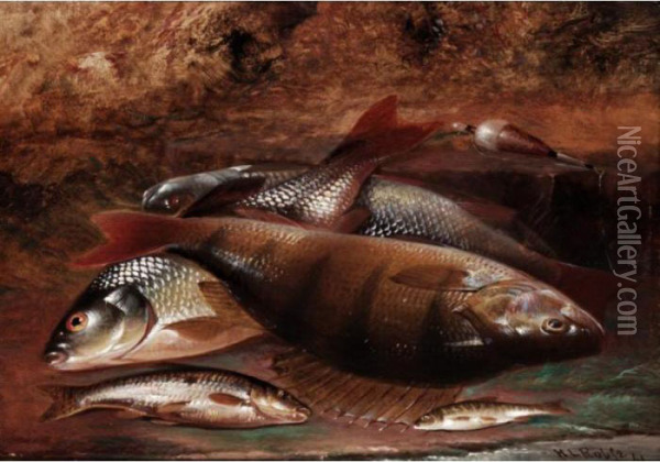 Still Life Of Fish Oil Painting - Henry Leonidas Rolfe