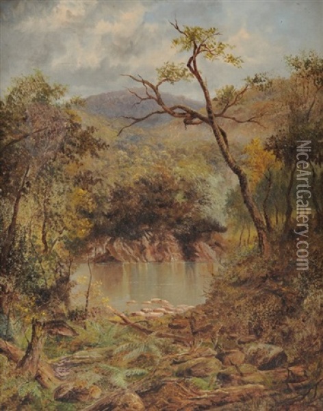 On The Manganui-a-tea. Tributary Of The Wanganui River Oil Painting - Thomas Reginald Attwood