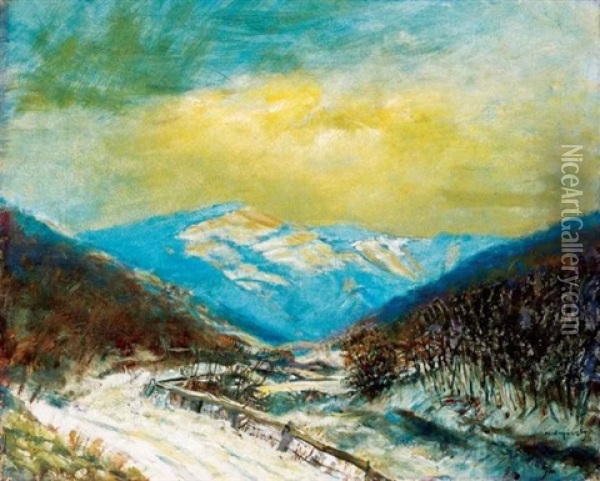 Hegyek Kozott (in The Mountains) Oil Painting - Laszlo Mednyanszky