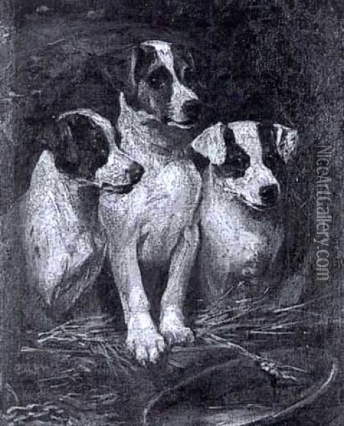 Three Terriers In A Barrel Oil Painting - John Emms
