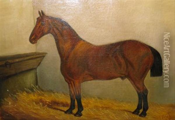 Portrait Of Abay Hunter In A Stable Oil Painting - J. Fifield
