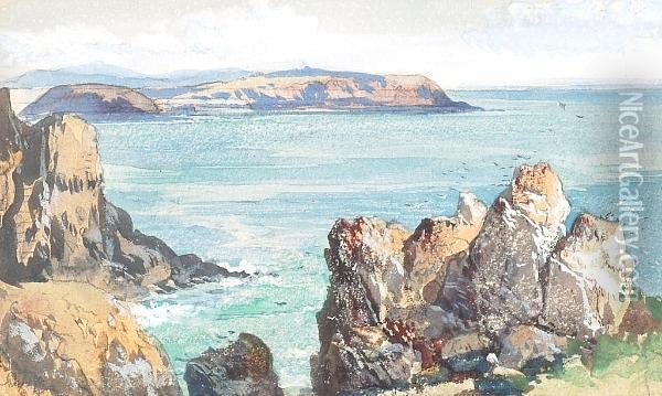 Caldy Island, Pembrokeshire 1869 Oil Painting - James Webb