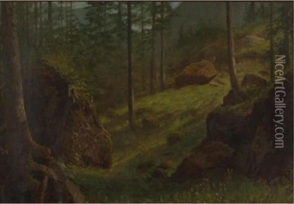 Wooded Hillside Oil Painting - Albert Bierstadt
