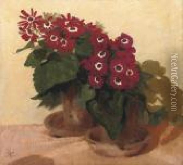 Red Cinerarias Oil Painting - William Nicholson