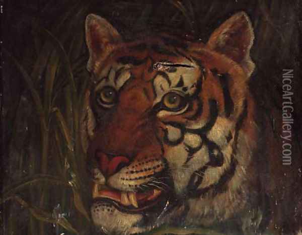 Tiger 2 Oil Painting - English School