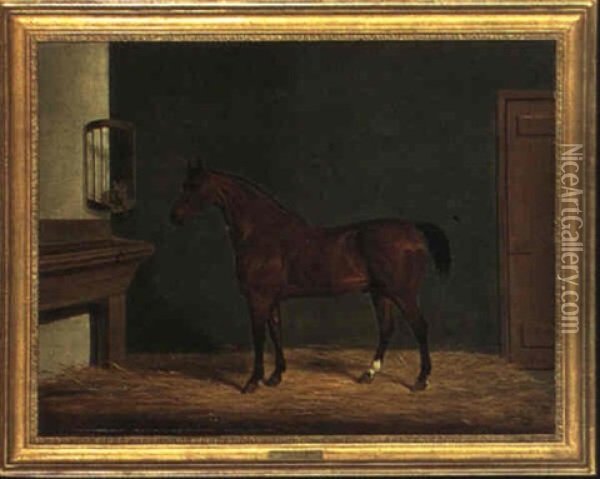 The Rev. D. Locke's Hunter In A Stable Oil Painting - James Loder Of Bath
