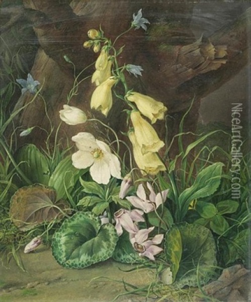 Wildflowers At The Base Of A Tree Oil Painting - Franz Xaver Petter
