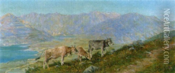 Weidende Kuhe In Schweizer Gebirgslandschaft Oil Painting - Carlo Pellegrini