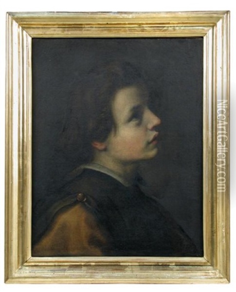 Head Of A Youth In Profile Looking Upwards And To The Right Oil Painting - Giovanni Bilivert