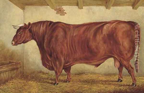 Brutus, a prize bull Oil Painting - George Banham