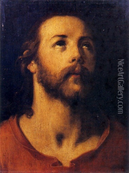 Le Christ En Buste Oil Painting - Cornelis Cornelisz Van Haarlem