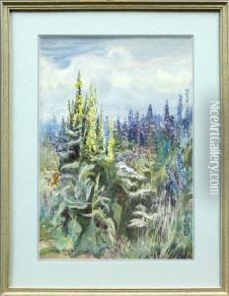 Field Of Flowers Oil Painting - Owen B. Staples