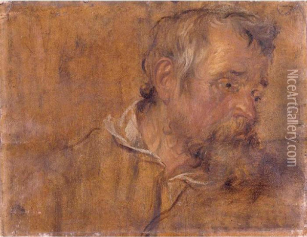 Profile Study Of A Bearded Old Man Oil Painting - Sir Anthony Van Dyck