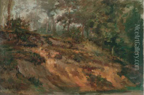 Talus A Chaville, Circa 1863 Oil Painting - Paul Huet
