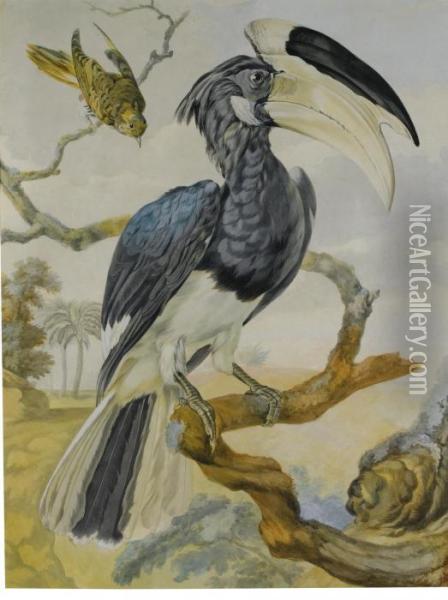 A Hornbill And Another Bird On A Branch Oil Painting - Aert Schouman