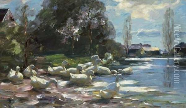 Elf Enten Am Steg (eleven Ducks By A Jetty) Oil Painting - Alexander Max Koester
