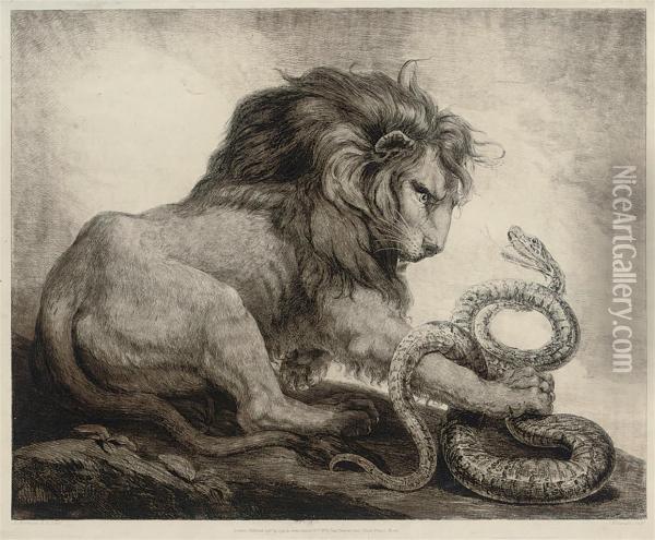 Lion & Snake Oil Painting - Samuel William I Reynolds