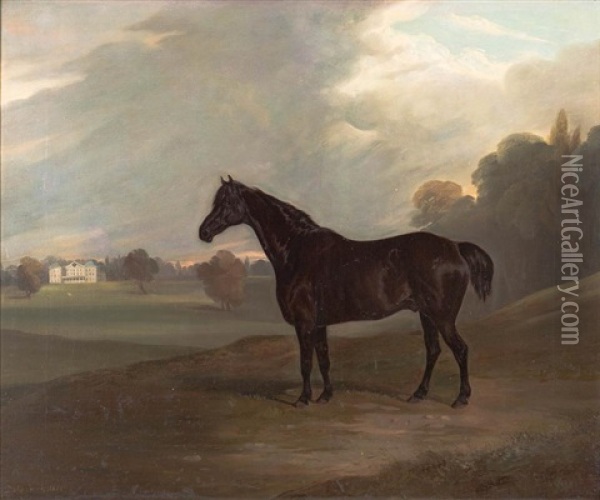 Black Stallion In Landscape, Elsenham Hall Oil Painting - David (of York) Dalby