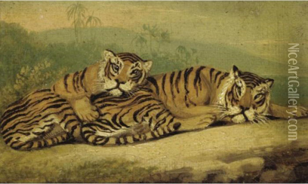 Five Animal Paintings Oil Painting - Samuel Howitt