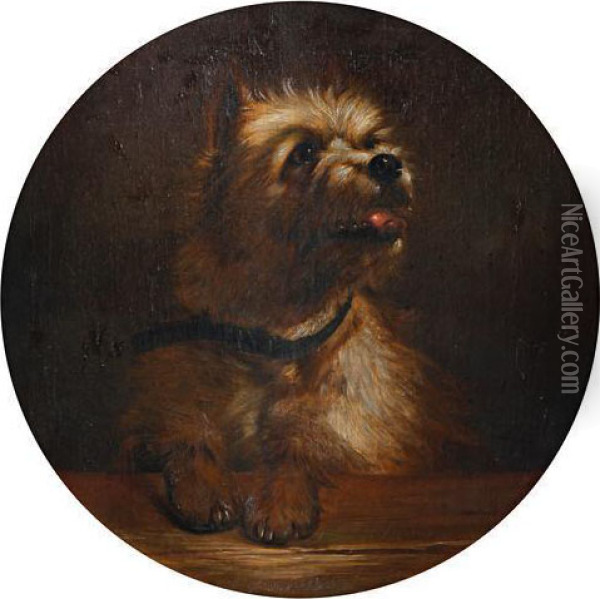 Study Of A Terrier Oil Painting - Landseer, Sir Edwin