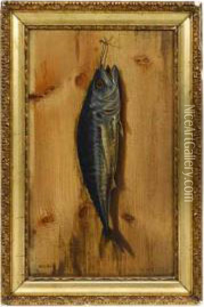 Portrait Of A Mackerel Oil Painting - William Coventry Wall