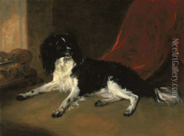 A King Charles Spaniel Oil Painting - Ramsay Richard Reinagle