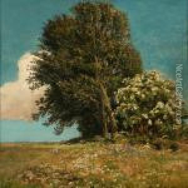 A Small Mound Withtrees On A Field Oil Painting - Viggo Christian Frederick Pedersen