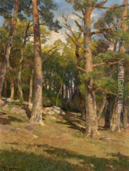 Ein Sonnendurchflutetes Waldstuck Oil Painting - Hugo Darnaut
