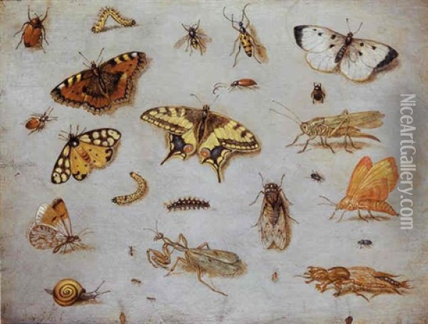 A Large Cabbage White, A Swallowtail And A Small Tortoiseshell Butterfly, A Garden Tiger Moth, A Chafer And Other Insects Oil Painting - Jan van Kessel the Elder