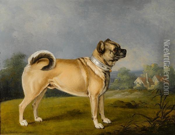 A Favorite Pug Oil Painting - Henry Bernard Chalon