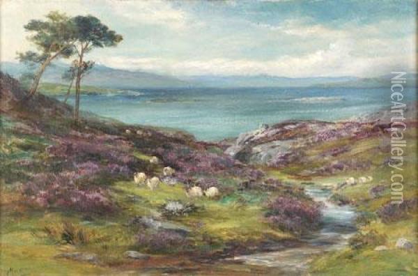 Heather And Sea , Kyle Of Lochalsh Oil Painting - John MacWhirter