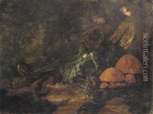 A Forest Floor Still Life With Snakes, Butterflies, Snails, Agrasshopper And A Lizard Oil Painting - Carl Wilhelm de Hamilton