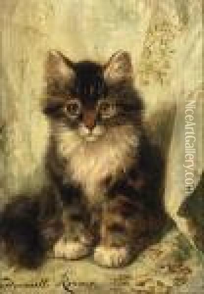 Musing Kitten Oil Painting - Henriette Ronner-Knip