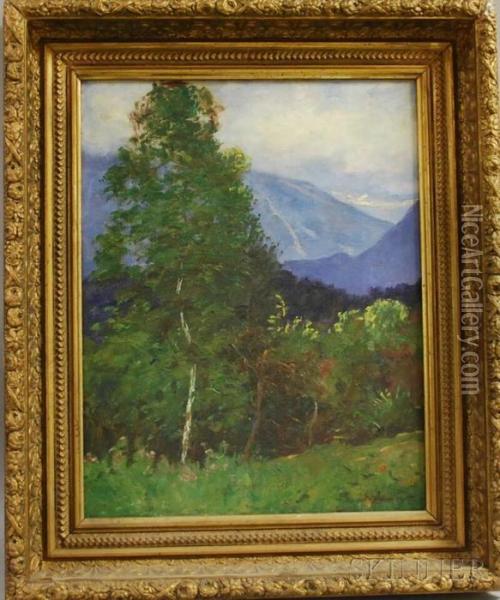 Summer Landscape With Franconia Notch In The Distance Oil Painting - Daniel Francois Santry