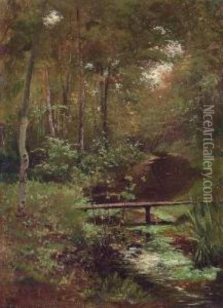 Waldlandschaft Mit Bach Und Steg Oil Painting - Rudolf Von Bohr